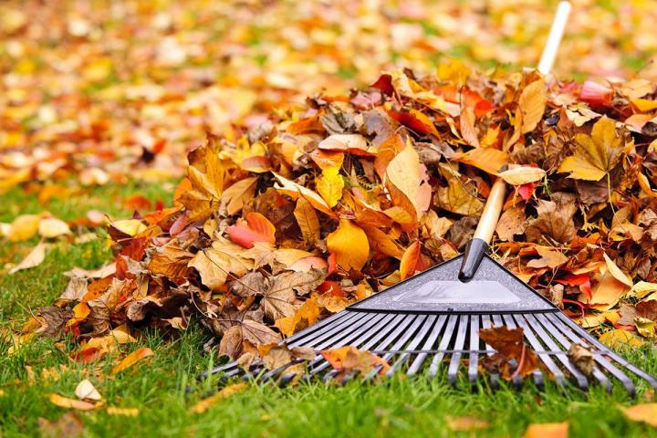 Souffler et ramasser des feuilles mortes Châteauguay