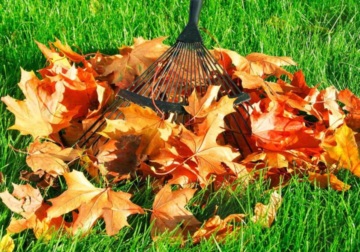 Soufflage et ramassage de feuilles mortes Châteauguay